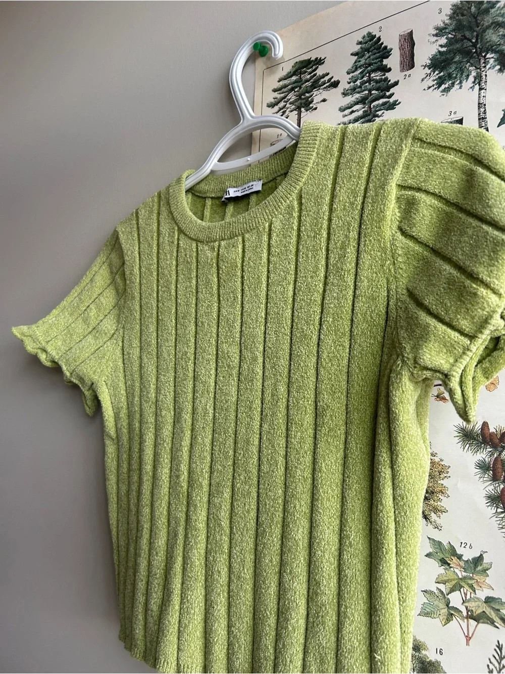 💜3 for $15💜 Zara Green Ribbed Knit Tee with Ruffle Sleeves Medium - Picture 2 of 3